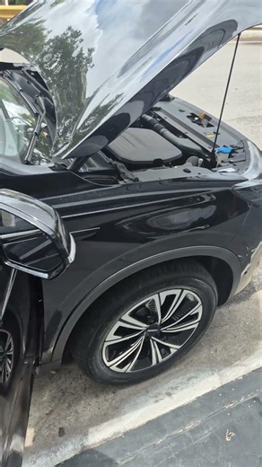 chassis and engine number Haval H6 2024 2025