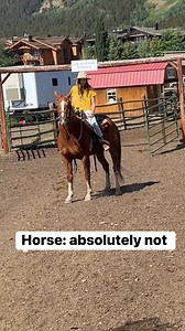 14K views · 301 reactions | Or operator error 藍 | Cody & Kellie | Facebook