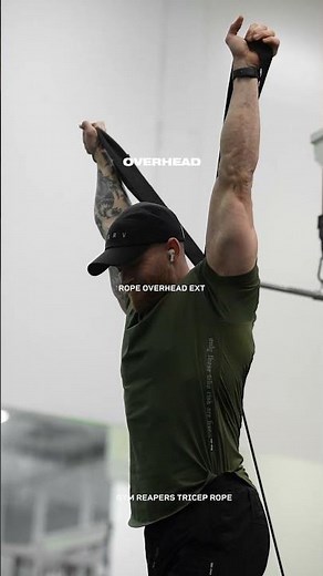 Build Bigger Triceps ✅