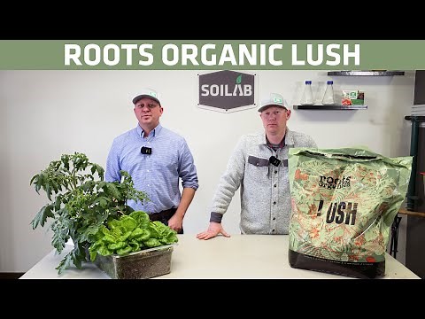 Roots Organic Lush Soil Testing | Know Before You Grow