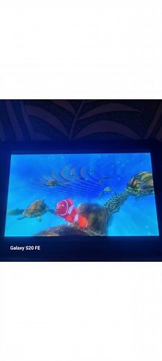 12 March 2026 finding nemo turtle scene