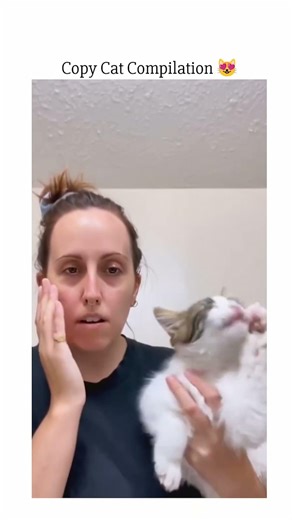 Why Is This Cat Copying Humans? 😳 | Copycat Behavior Gone Wrong 😂