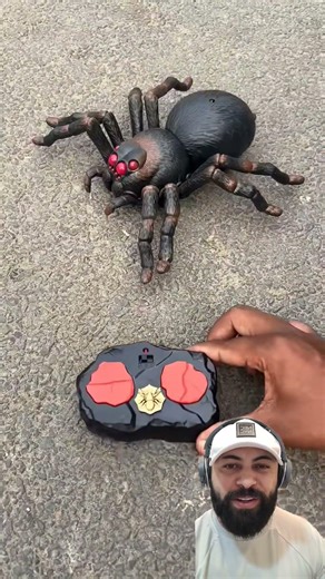 The fear that spiders cause #shorts #toys