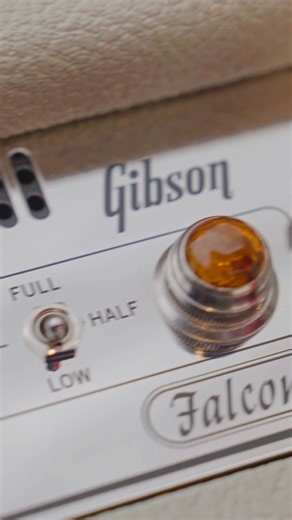 The Falcon Series Amplifiers from Gibson have arrived! 🪽 #gibsonguitars #guitaramp #guitaramplifier | Chuck Levin's Washington Music Center