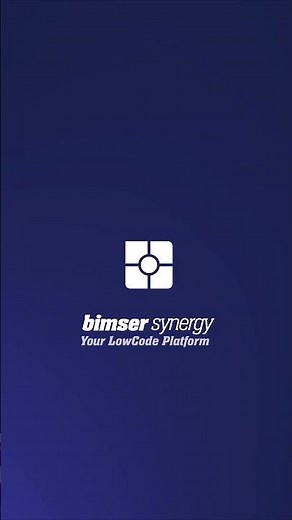 Bimser Synergy Low-Code Platform I Rule Manager