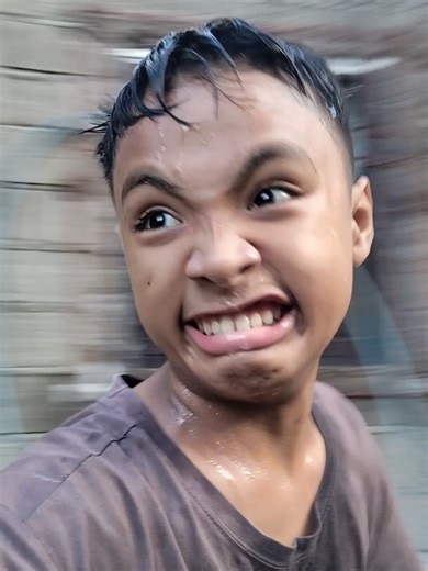 Dogs Jumping Over Fences: Hilarious Moments