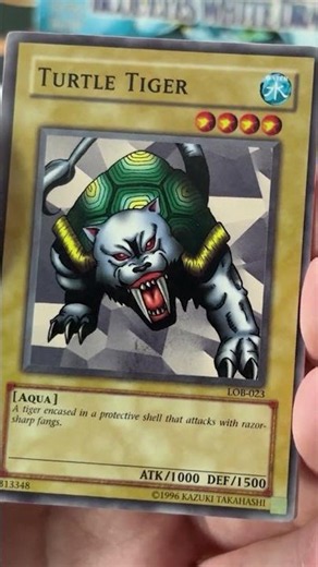 Is This the Greatest Yu-Gi-Oh! Set Ever Made?
