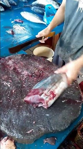 How to cut Frozen skipjack tuna Quickly & Easily! #shorts #fish #frozen #cuttingskills
