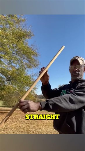 Measure a Tree with Just a Stick! 🌳