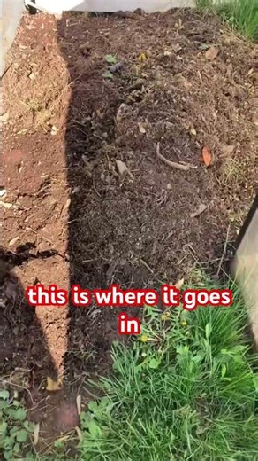 This is how I make compost for my plants 🌱