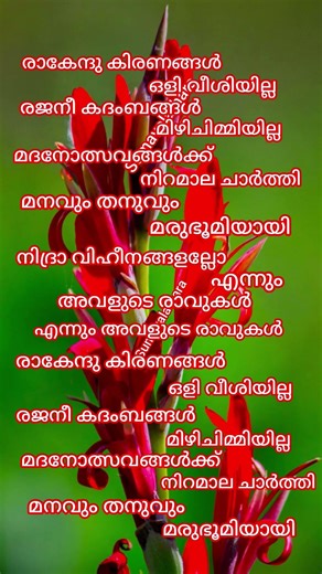 രാകേന്ദു കിരണങ്ങൾ ഒളി വീശിയില്ല ❤️raakendhu kiranangal oliveeshiyilla 💞#malayalam #avalude raavukal
