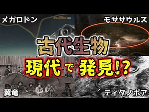 【睡眠用】カメラが捉えた! 古代生物の生存説総集編part1【ゆっくり解説】【メガロドン 、マンモス、モササウルス 、ティタノボア 、翼竜】