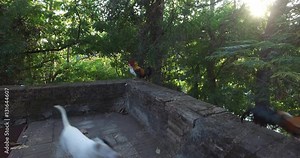 Wat umong temple and grounds of Northern Thailand