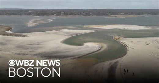 Martha's Vineyard community fights to save popular pond from toxic algae