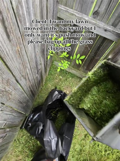 Lawn Mowing: Push Mower & Grass Bagging Service