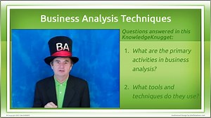 What Techniques Do Business Analysts Use?