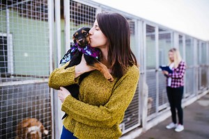 Adopting a rescue dog: Follow these tips the first seven days
