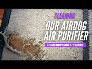 Cleaning My AirDog Air Purifier! Quick & Easy!