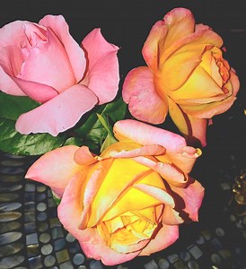 Pink and Yellow Rose Bouquet Photo - Etsy Canada