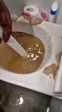 Keep watching to see how i unblock this badly clogged toilet