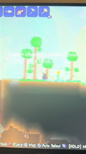 Terraria Boss Challenges: My Experience