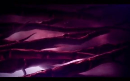 加长版来了，外星虫族抓住人类女孩改造成虫族女王向全宇宙发起进攻01