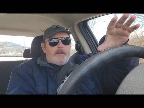 Alien Hybrids Could Be Erasing Humankind Via Biological Absorption Right Now