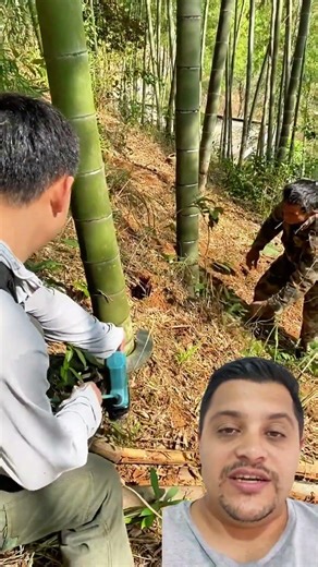This tool cuts bamboo in seconds! You need to see this! 🎋⚡ #farm #tool #bamboo