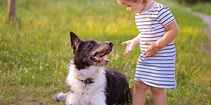 Can artificial intelligence decode dog barks?