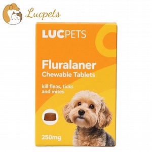 [Hot Item] Fluralaner Tablet for 10kg Dog Kill Flea, Tick, Mite