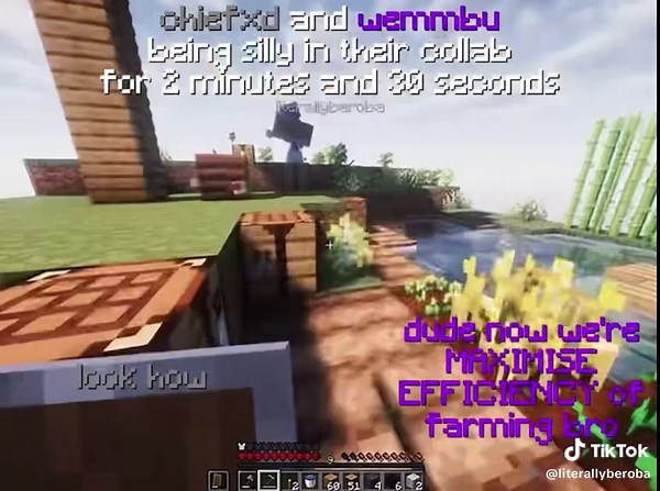 Unstable Universe LifeSteal SMP Gameplay Highlights