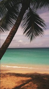 One year of Camp Snap camera use. Love it and the community. #photography