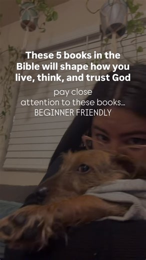 Rebecca | Biblical Living & Obedience | save this 🫶 1️⃣ PROVERBS •Encourages you to live a life of wisdom and righteousness. Keep you grounded & guided by Gods wisdom! 2️⃣... | Instagram