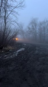 19K views · 1.2K reactions | Ulmus Rubra on Reels | Facebook