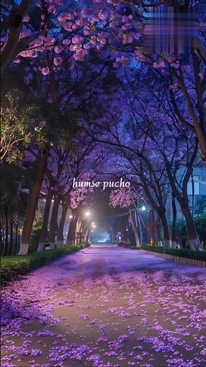Sochta Hoon Keh Wo Kitne Masoom💖✨😇 | Nusrat Fateh Ali Khan |Aesthetic status | lyrical status |