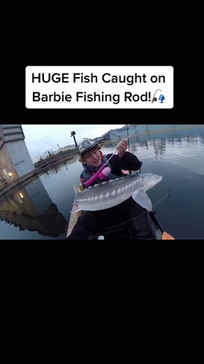 HUGE fish caught on a Barbie fishing rod! 🎣 #fyp #foryou #fishing #bigfish #fishingchallenge #bigfish