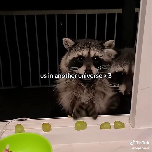 Hopecore: Positive and Wholesome Videos in Another Universe