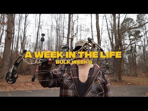 Weights, Bows, Protein Shakes, and Bibles