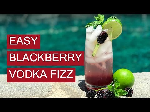 Blackberry Vodka Fizz | Easy Cocktail Recipe!