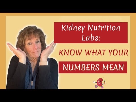 Kidney Nutrition Labs: Know What Your Numbers Mean