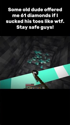 Minecraft Advanced Humor