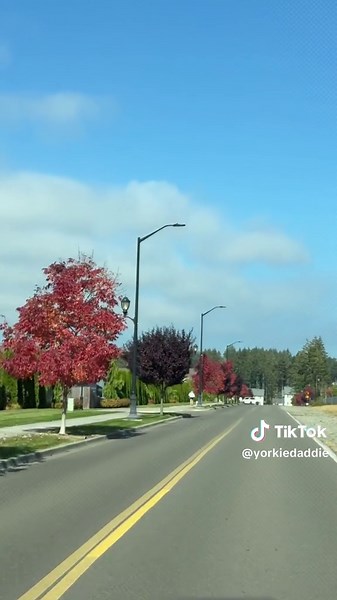 Weekend Fall Colors: The Perfect Autumn Travel Inspiration