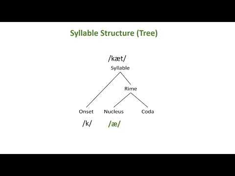 Syllable Structure