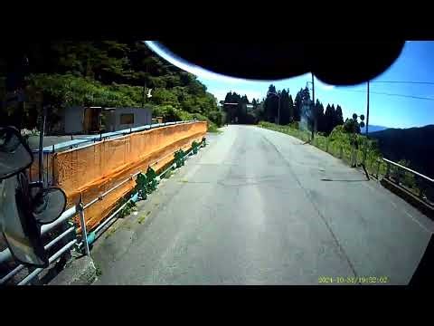 子熊横断！ 国道157号谷トンネル南側（福井県勝山市）2025.08.09