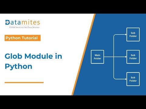 How to Use the Glob Module in Python | Python Tutorial