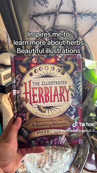 Exploring My Witchy Reads: A Nighttime Book Journey