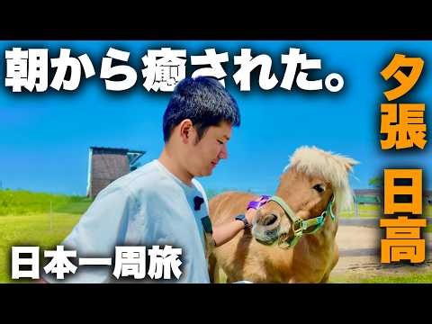 【北海道】道の駅旅で朝から夜まで遊び尽くす。道央エリア最後に最高の癒しが待っていた。
