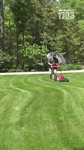 Essential Fall Cleanup Tips to Prevent Costly Water Damage