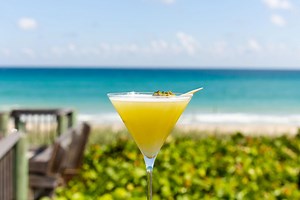 Florida Restaurant Guide and Reviews by Florida Chefs