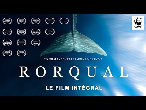 RORQUAL – A WWF Whale Documentary by Hugo Hebbe